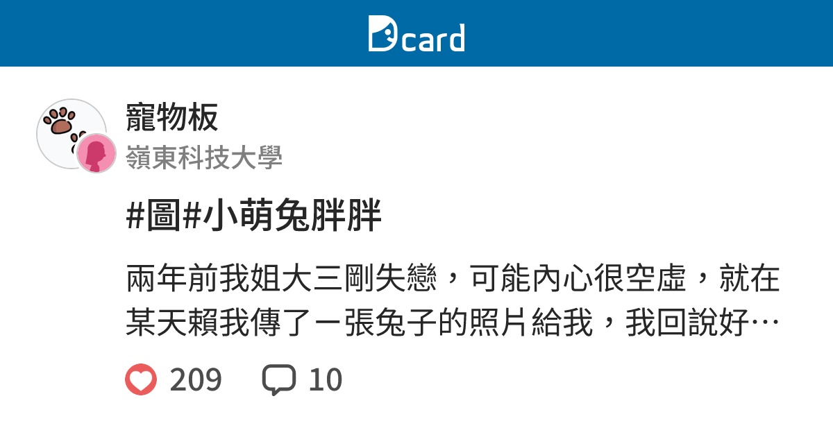 #圖#小萌兔胖胖 - 寵物板 | Dcard