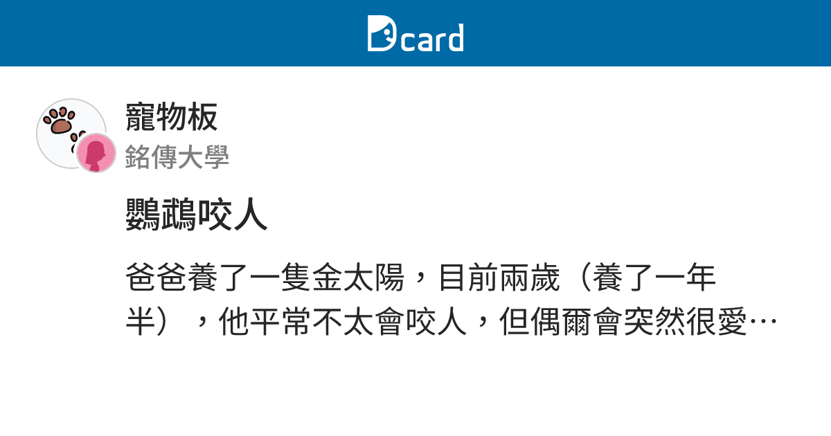鸚鵡咬人 - 寵物板 | Dcard