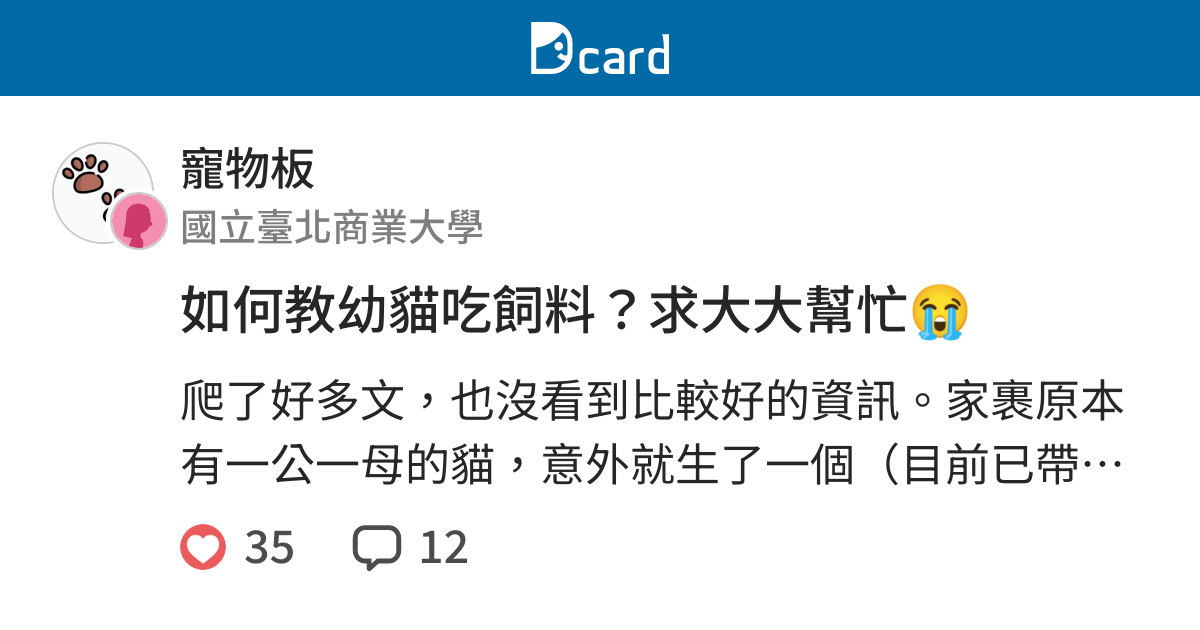 如何教幼貓吃飼料 求大大幫忙 寵物板 Dcard