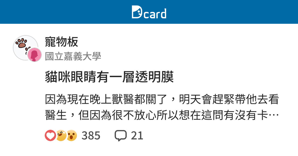 貓咪眼睛有一層透明膜 寵物板 Dcard